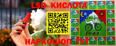 крисы Кунгур