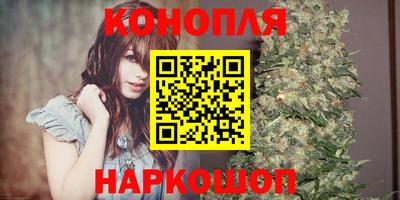 крисы Кунгур