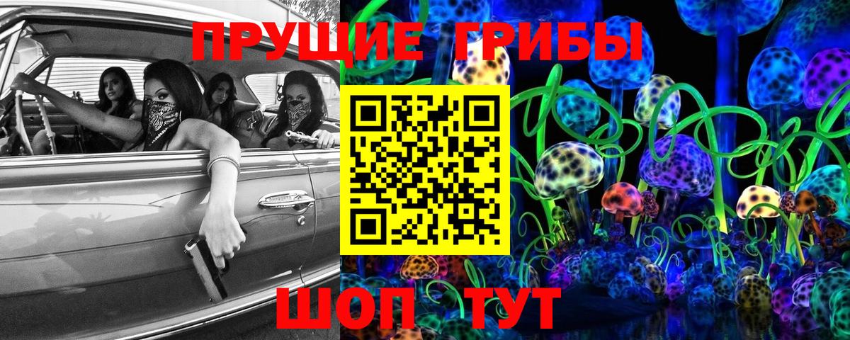 Псилоцибиновые грибы Psilocybe Шахты