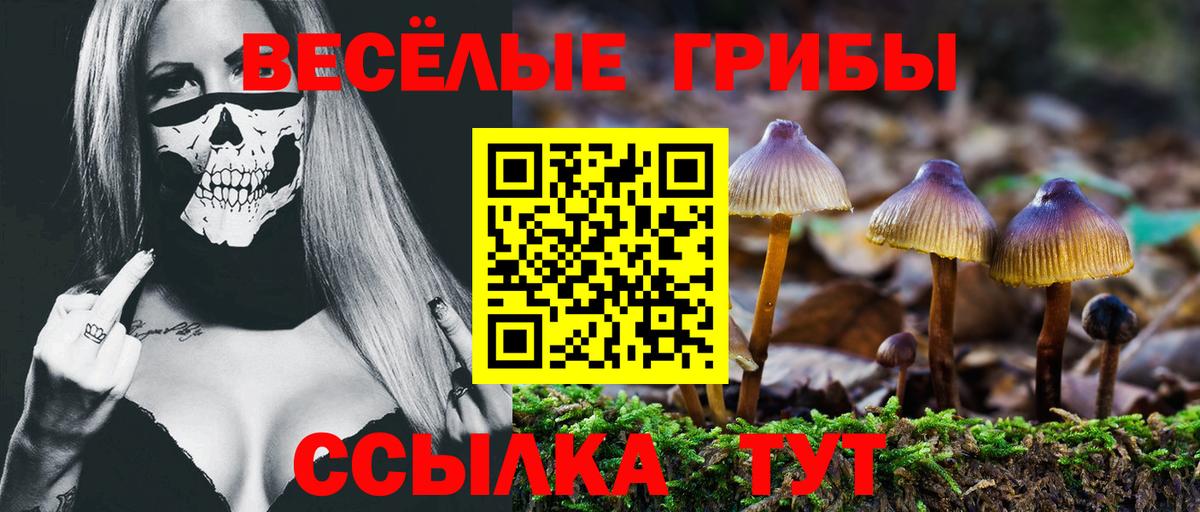 Шахты  Галлюциногенные грибы Psilocybine cubensis  Вход с VPN 